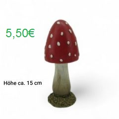 Fliegenpilz Fliegenpilz