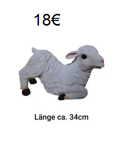 Lamm aufstehend Lamm