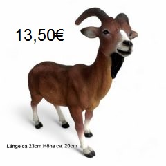 Ziege braun Ziege braun